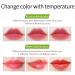 Kaynest Aloe Vera Lipstick Set-C - 2 Pack Moisturizing Lip Balm for Long Lasting Color Change - Buy Online on SooperMarket.com