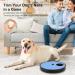 Beowanzk Multifunctional Dog Nail Scratchboard with 6-Compartment Food Storage - Blue - Buy Online on SooperMarket.com