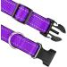 Joytale Reflective Dog Collar for Puppies - XS Purple | International Shipping Available - Buy Online on SooperMarket.com