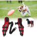 Knee Brace for Dogs ACL with Reflective Strips Knee Dislocation Arthritis Keeps The Joint Warm and Stable Extra Support Reduces Pain and Inflammation (XS) - Buy Online on SooperMarket.com