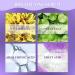 Niacinamide Serum With Fruit Acid Korean Serum Reduces Redness Hydrating Serum Improve Blemishes Dark Spot Correcting Glow Serum Brightening Serum For All Skin Type Serums Skincare - Buy Online on SooperMarket.com