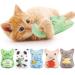 Dorakitten Catnip Toys for Indoor Cats - 5PCS Plush Cat Chew Toys Teething Interactive Catnip Filled Kitten Toy Soft Pet Toy Animal Shapes