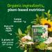 Gerber Organic Lil Crunchies Plant-tastic White Bean Hummus - 1.59oz (Pack of 6) - Buy Online on SooperMarket.com