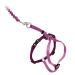 Petsafe come with me kitty dishes and bungee leash dishes for cats size M Dusty Rose/Burgundrot Dusty Rose/Burgundy Medium