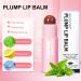 Plumping Lip Balm: Hydrating Tinted Lip Polish for Dry, Cracked Lips - Deep Nourishing Moisturizing Lip Gloss (Brown Vermeil) - Buy Online on SooperMarket.com