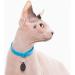 Nuvuq Soft & Light Cat Collar with Breakaway Snap Button - Blueberry Blue - Buy Online on SooperMarket.com