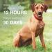 K9 Advantix II for Extra-Large Dogs Over 55lbs - 2 Count Pack - Buy Online on SooperMarket.com