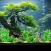 Buy Ctpeng 57-Piece Artificial Fish Tank Plants Decor Set | 2-30cm | Perfect for Aquarium Decoration - Buy Online on SooperMarket.com