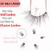 Heracks 14 Pairs Half Lashes Natural Look Cat-Eye Wispy Fluffy False Eyelashes - Reusable DIY Pack (HFS38+HFS62) - Buy Online on SooperMarket.com