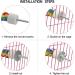 Bird Rope Spiral Perch - Ideal Climbing Rope for Parrots Budgies Cockatiels & Parakeets | 80cm with Metal Nut - Buy Online on SooperMarket.com