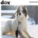 Buy DDOXX Black Dog Leash - Reflective Nylon Bite-Proof 4M Up to 10kg - Stable Roller Break & Lock System | International Shipping - Buy Online on SooperMarket.com