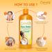 CAROT S Shea Butter Body Wash - 33.8 Fl oz / 1000ml - Revitalizing and Nourishing Skin Treatment - Buy Online on SooperMarket.com