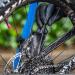 Muc-Off Two-Prong Bike Cleaning Brush - Black, One Size - Buy Online on SooperMarket.com