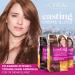 L'Or al Paris Casting Cr me Gloss in Vanilla Mocca - Intensiv Tint for Radiant Color | 79.67g (3 Pack) - Shop Internationally - Buy Online on SooperMarket.com