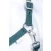Nylon Halter BASICLINE - Dark Green Warmblood | RL24 | Durable & Stylish Horse Gear - Buy Online on SooperMarket.com
