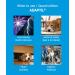 ADAPTIL Refill - Calms & Comforts Dogs at Home When Home Alone or During Loud Noises & Stressful Events - Use ADAPTIL for Dogs with ADAPTIL Diffusers (30 Day Supply ADAPTIL Refill C133) - Buy Online on SooperMarket.com