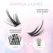 LANKIZ DIY Natural Look Individual Eyelash Extensions 0.07mm 10-16mm Mix - Reusable Soft Lightweight Lash Clusters at Home - Fluffy Style02 - Buy Online on SooperMarket.com