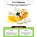 OneRoot Organic Beeswax Lip Balm | Citrus Moisturizer for Dry Lips | Coconut Oil Vitamin E & Rosemary Extract (0.15oz - Buy Online on SooperMarket.com