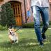 Ruayia Classic Pull-Out Leash for Dogs up to 52kg - 360 Guiding & Braking System - 5m Blue - International Shipping - Buy Online on SooperMarket.com