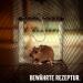 Martenbrown Rodent Feast: Premium Kneadable Mouse Bait & Trap Lure for Mice and Rats - International Shipping Available - Buy Online on SooperMarket.com