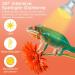 Buy Lucky Herp Reptiles Heat Lamp 100W - UV UVA Light for Turtles Chickens Dogs & Amphibians | 2-Pack Upgrade for Terrariums - Buy Online on SooperMarket.com