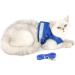 Ranphy Cat Dishes with Leash - Soft Fabric Harness & Breakable Paddle for Small & Adult Cats - Blue - Buy Online on SooperMarket.com