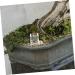 BESPORTBLE Pet Water Feeder Ants Water Feeding Supply Small Ants Feeder Ants Habitat Water Feeding Plastic - Buy Online on SooperMarket.com