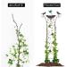 2-in-1 Metal Bird Water Dispenser & Feeder - Retro Garden Decor for Outdoors - Buy Online on SooperMarket.com