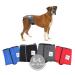 Procedure pants for bitches 2.0 - dog diapers made of high -quality perforated neoprene for an optimal air exchange - dog diapers for male without the annoying threading of the rod (L -L gray)