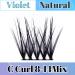 Cluster Lashes Individual Eyelashes C Curl Lash Clusters Soft and Reusable Eyelashes Individual DIY Lash Extensions 8mm 10mm 12mm 14mm by Obeyalash (Mix 8-14mix C Curl Natural-Violet) 5-WL-011 - Buy Online on SooperMarket.com