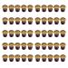 UHT Coffee Cream Caf Maid 50x 12ml Pots 50 Individual Cream Pots for Coffee