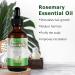 100% Pure Rosemary Oil for Hair & Scalp - 60ml | Natural Hair Growth Nourishing & Aromatherapy - Buy Online on SooperMarket.com