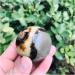 Natural Crystal Rough Ornament Natural Crystal Quartz Septarian Jasper Ball for Decoration 1pc for Fengshui Decoration Gift Decoration 50-60mm 1pc - Buy Online on SooperMarket.com