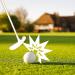 Yamato Two-Way Mini Golf Putter Set with Real Golf Balls - Right and Left Handed, Ideal Gift for Kids and Adults - Buy Online on SooperMarket.com