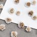 50Pcs 3D Flower Nail Multi Colors Variety Mix Camellia Flower Cute Nail Art For Manicure DIY Craft Jewelry 3d Nail For Acrylic Nails B