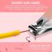 Econtal Nail Clippers Set of 4 Small Slanted with Nail File Cuticle Remover Pusher & Clippers Pliers | Best Quality Manicure Tools for Perfect Nails - Buy Online on SooperMarket.com