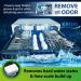 XROM Natural Dishwasher Cleaner & Descaler - Removes Odors & Hard Water Stains - Powerful Descale Solution - 6 Treatments - Original Scent - Buy Online on SooperMarket.com
