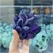 Crystals 1pc Natural Rare Purple Quartz Crystal Cluster Specimen Stone Collection - Buy Online on SooperMarket.com