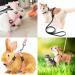 Yutou Soft Cat Dishes & Adjustable Leash Set - Outbreak-Proof Harness for Kittens Puppies & Rabbits - Buy Online on SooperMarket.com
