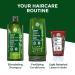 Yves Rocher Fortifying Density Shampoo - Cleanse Scalp & Strengthen Hair | 10.1 fl oz - International Shipping Available - Buy Online on SooperMarket.com