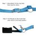 SIE Horse Pasture Muzzle Feed Bag - Full Turquoise | Durable & Comfortable Horse Muzzle | International Shipping Available - Buy Online on SooperMarket.com