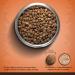 Zo Dry Dog Food Medium Breed Turkey/Chickpea/Sweet Potato Recipe 5 kg 92927 - Buy Online on SooperMarket.com