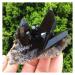 200-300g Rare Natural Beautiful Black Crystal Cluster Tibetan Specimen Decoration Gift
