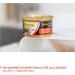 Gimcat Shinycat in Jelly Tuna & Salmon - Wet Cat Food with Taurine - 24 x 70g Cans - International Shipping - Buy Online on SooperMarket.com