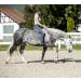 USG 15200002 Adjustable Neck Ring - Round Black/Beige for Equestrian Use | International Shipping Available - Buy Online on SooperMarket.com