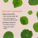 Erborian Cleansing Oil with Centella Asiatica Extract - 6 fl. oz - Buy Online on SooperMarket.com