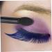 HAPINARY 10pcs Eye Shadow Sponge Applicator Paupi re Eyeshadow Sponge Applicator Face Eyeshadow Brush Black - Buy Online on SooperMarket.com