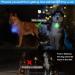 6 PCS LED Blinking Safety Lights for Dogs Cats & Kids - Bright Rechargeable Perfect for Pets & Cyclists - Buy Online on SooperMarket.com