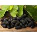 Organic Dried Black Mulberries 2 Pounds | Non-GMO Raw Fruit | Unsulfured & Unsweetened | Vegan & Kosher | Great for Snacking, Desserts & Granola | No Sugar Added | Morus nigra - Buy Online on SooperMarket.com