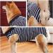 Heywean Dog Recovery Suit - Post-Surgery Protection Bodysuit for Dogs XL | Medical Dog Shirt for Castration Wound Care - Blue - Buy Online on SooperMarket.com